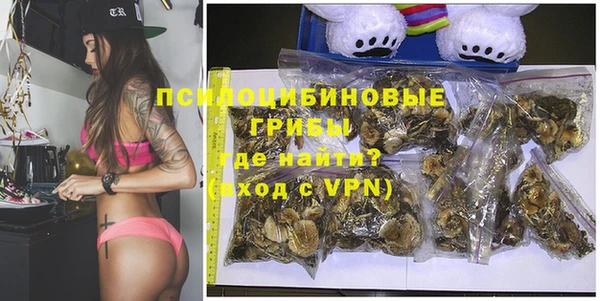 мдма Богородицк