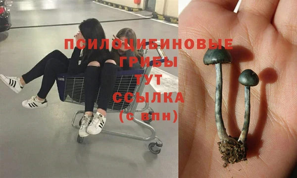мдма Богородицк