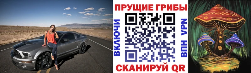 darknet клад  Верхотурье  Галлюциногенные грибы GOLDEN TEACHER  продажа наркотиков 